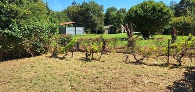 Terrain à Ambarès-et-Lagrave en Gironde (33) de 753 m² à vendre au prix de 130800€ - 3