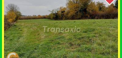 Terrain à Malicorne en Allier (03) de 3000 m² à vendre au prix de 35000€ - 1