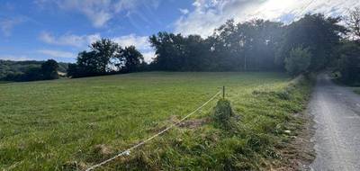 Terrain à Pont-du-Casse en Lot-et-Garonne (47) de 9496 m² à vendre au prix de 257000€ - 3