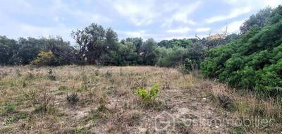 Terrain à La Palme en Aude (11) de 1220 m² à vendre au prix de 315000€ - 3