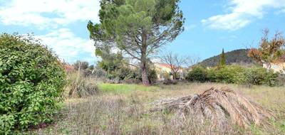 Terrain à Le Cannet-des-Maures en Var (83) de 1208 m² à vendre au prix de 170000€ - 1