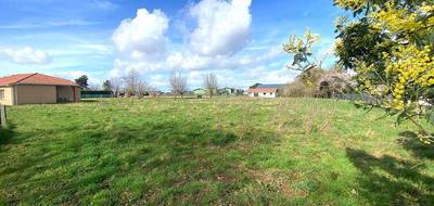 Terrain à Aire-sur-l'Adour en Landes (40) de 1907 m² à vendre au prix de 29000€ - 1