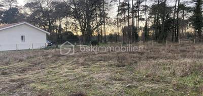 Terrain à Josse en Landes (40) de 711 m² à vendre au prix de 134000€ - 1