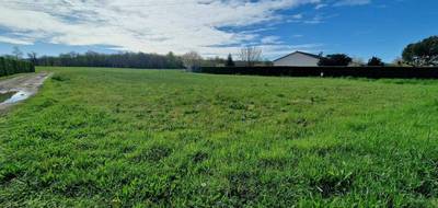 Terrain à Neuvic en Dordogne (24) de 1612 m² à vendre au prix de 40000€ - 2