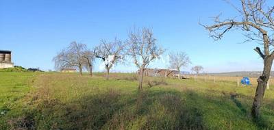 Terrain à Pulligny en Meurthe-et-Moselle (54) de 1135 m² à vendre au prix de 53000€ - 3