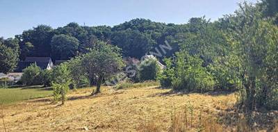 Terrain à Saint-Gervais-la-Forêt en Loir-et-Cher (41) de 1331 m² à vendre au prix de 162000€ - 1