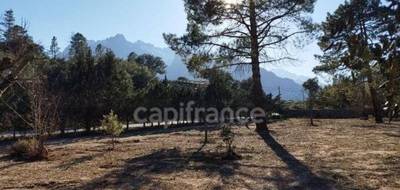 Terrain à Moltifao en Haute-Corse (2B) de 2360 m² à vendre au prix de 225000€ - 1