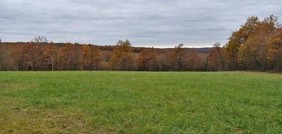 Terrain à La Cassagne en Dordogne (24) de 3327 m² à vendre au prix de 34000€ - 3