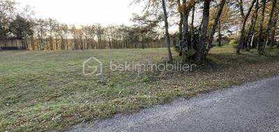 Terrain à Mauzac-et-Grand-Castang en Dordogne (24) de 2500 m² à vendre au prix de 34000€ - 4