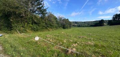 Terrain à Pont-du-Casse en Lot-et-Garonne (47) de 9496 m² à vendre au prix de 257000€ - 4