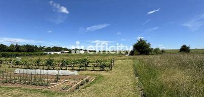 Terrain à Barro en Charente (16) de 5300 m² à vendre au prix de 87450€ - 1