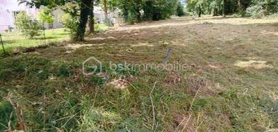 Terrain à Sarzeau en Morbihan (56) de 1550 m² à vendre au prix de 320000€ - 3