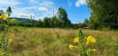 Terrain à Le Thillot en Vosges (88) de 1090 m² à vendre au prix de 33000€ - 3