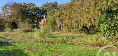 Terrain à Saint-Vivien-de-Médoc en Gironde (33) de 2934 m² à vendre au prix de 90000€ - 4