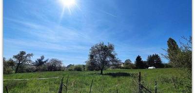 Terrain à Orbais-l'Abbaye en Marne (51) de 8107 m² à vendre au prix de 55000€ - 2