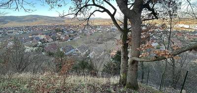 Terrain à Wintzenheim en Haut-Rhin (68) de 1600 m² à vendre au prix de 165000€ - 2