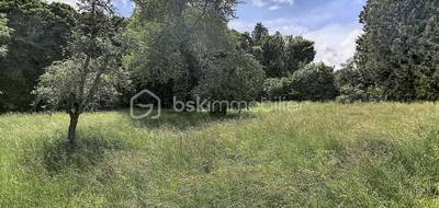 Terrain à Genlis en Côte-d'Or (21) de 2439 m² à vendre au prix de 195000€ - 2