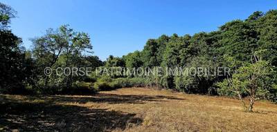 Terrain à Ghisonaccia en Haute-Corse (2B) de 1697 m² à vendre au prix de 145000€ - 3