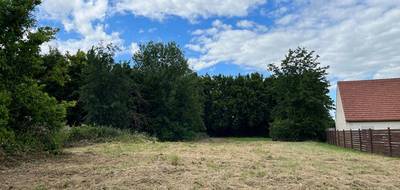 Terrain à Beaumont-en-Beine en Aisne (02) de 917 m² à vendre au prix de 35000€ - 1