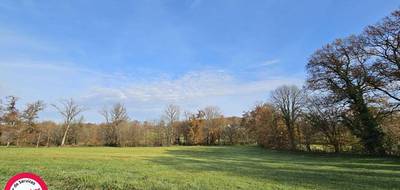 Terrain à Objat en Corrèze (19) de 5500 m² à vendre au prix de 24990€ - 1