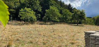 Terrain à Hirtzbach en Haut-Rhin (68) de 1600 m² à vendre au prix de 217391€ - 1