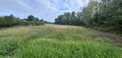 Terrain à Estillac en Lot-et-Garonne (47) de 1500 m² à vendre au prix de 62000€ - 3