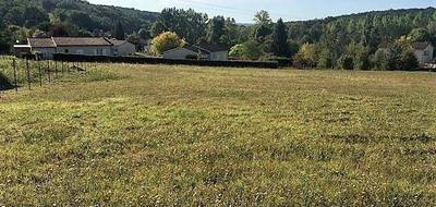 Terrain à Paussac-et-Saint-Vivien en Dordogne (24) de 3167 m² à vendre au prix de 26500€ - 4