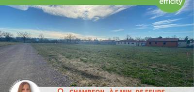 Terrain à Chambéon en Loire (42) de 1233 m² à vendre au prix de 110970€ - 4