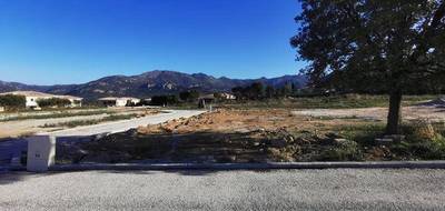 Terrain à Calenzana en Haute-Corse (2B) de 524 m² à vendre au prix de 0€ - 4