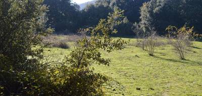 Terrain à Corte en Haute-Corse (2B) de 4360 m² à vendre au prix de 340700€ - 2