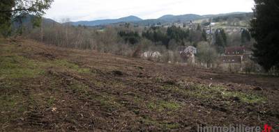 Terrain à Saint-Dié-des-Vosges en Vosges (88) de 10078 m² à vendre au prix de 99000€ - 3