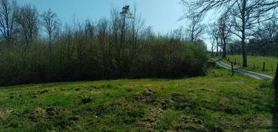 Terrain à Loubejac en Dordogne (24) de 8180 m² à vendre au prix de 39000€ - 3