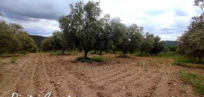 Terrain à Gabian en Hérault (34) de 8000 m² à vendre au prix de 29000€ - 1