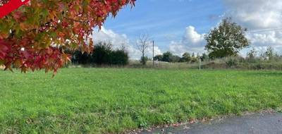 Terrain à Avoise en Sarthe (72) de 783 m² à vendre au prix de 32000€ - 1