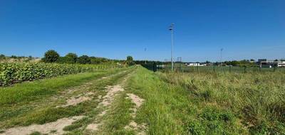 Terrain à Blancs-Coteaux en Marne (51) de 3543 m² à vendre au prix de 249000€ - 4