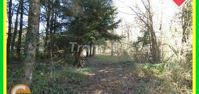 Terrain à Argent-sur-Sauldre en Cher (18) de 0 m² à vendre au prix de 85000€ - 4