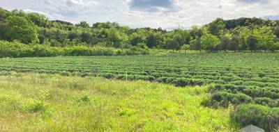 Terrain à Larnas en Ardèche (07) de 1800 m² à vendre au prix de 68000€ - 1