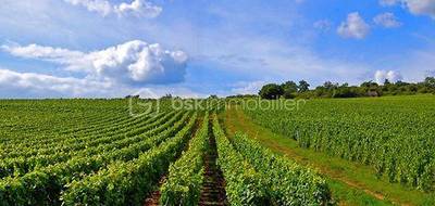 Terrain à Lussac en Gironde (33) de 50000 m² à vendre au prix de 110000€ - 4