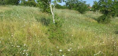 Terrain à Coux et Bigaroque-Mouzens en Dordogne (24) de 3445 m² à vendre au prix de 49000€ - 3