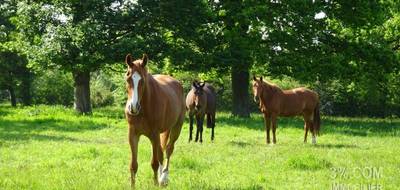 Terrain à Savenay en Loire-Atlantique (44) de 752 m² à vendre au prix de 119500€ - 2