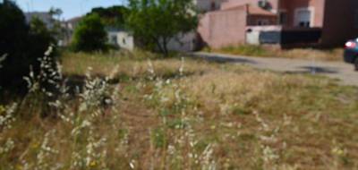 Terrain à Frontignan en Hérault (34) de 308 m² à vendre au prix de 199000€ - 3