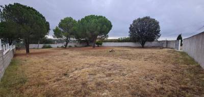 Terrain à Magalas en Hérault (34) de 1305 m² à vendre au prix de 195000€ - 3