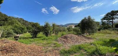 Terrain à Pégomas en Alpes-Maritimes (06) de 9720 m² à vendre au prix de 990000€ - 3