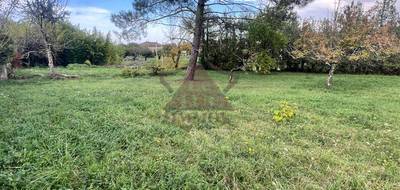 Terrain à Saint-Paul-le-Jeune en Ardèche (07) de 1000 m² à vendre au prix de 69000€ - 1