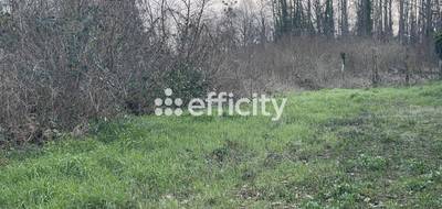 Terrain à Cerny en Essonne (91) de 364 m² à vendre au prix de 70000€ - 2