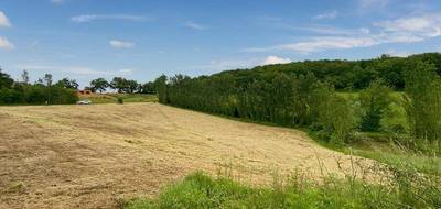 Terrain à Lelin-Lapujolle en Gers (32) de 14000 m² à vendre au prix de 35000€ - 4