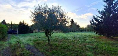 Terrain à Carcassonne en Aude (11) de 1300 m² à vendre au prix de 116590€ - 3