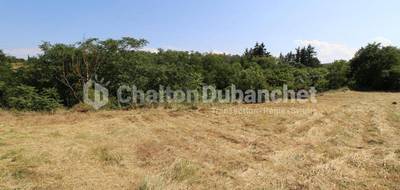 Terrain à Villerest en Loire (42) de 12587 m² à vendre au prix de 99000€ - 2