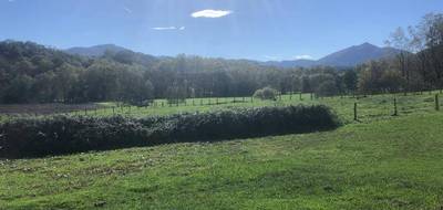 Terrain à Sare en Pyrénées-Atlantiques (64) de 800 m² à vendre au prix de 225000€ - 2