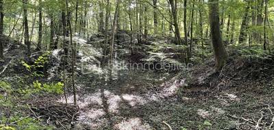 Terrain à Aiglemont en Ardennes (08) de 15715 m² à vendre au prix de 61600€ - 4